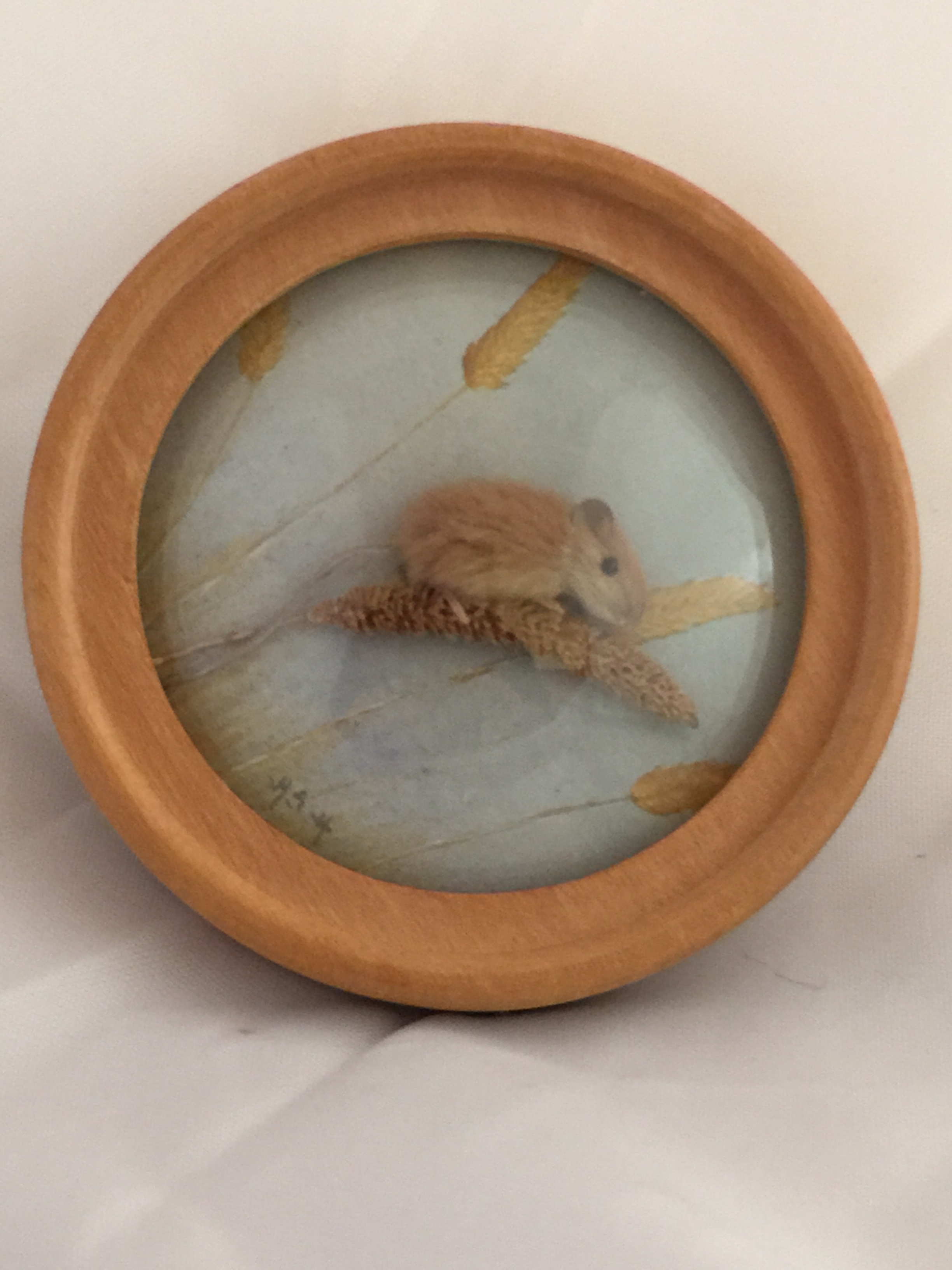 Harvest Mouse (Version 2)